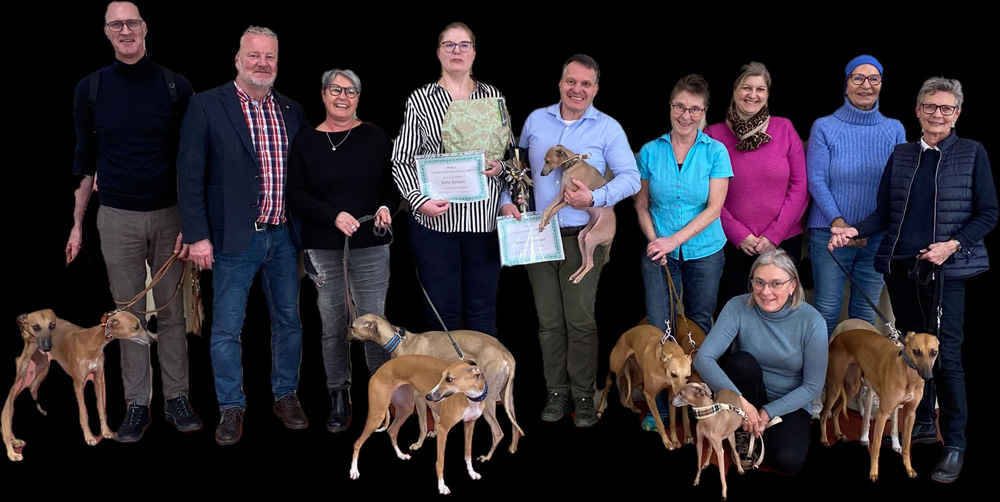 Clubinterne Richterprüfung