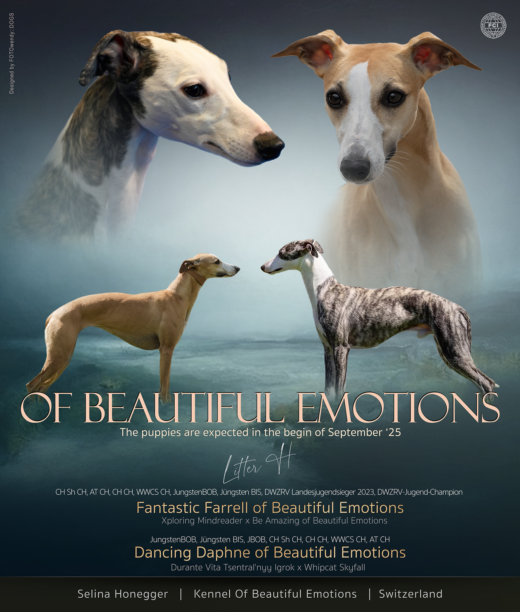 of Beautiful Emotions