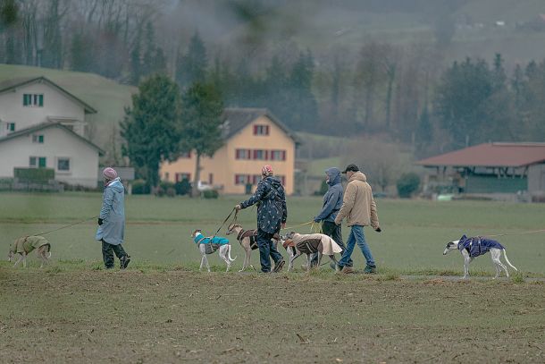 Advents-Spaziergang 2025