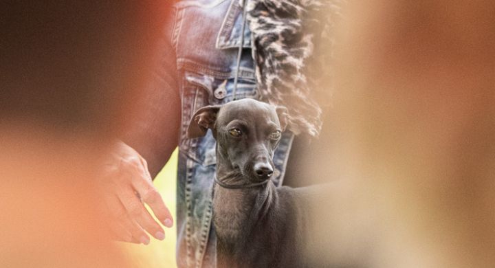 Windspiel Ausstellung in Lotzwil, 09.06.2024